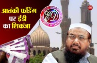 hafiz