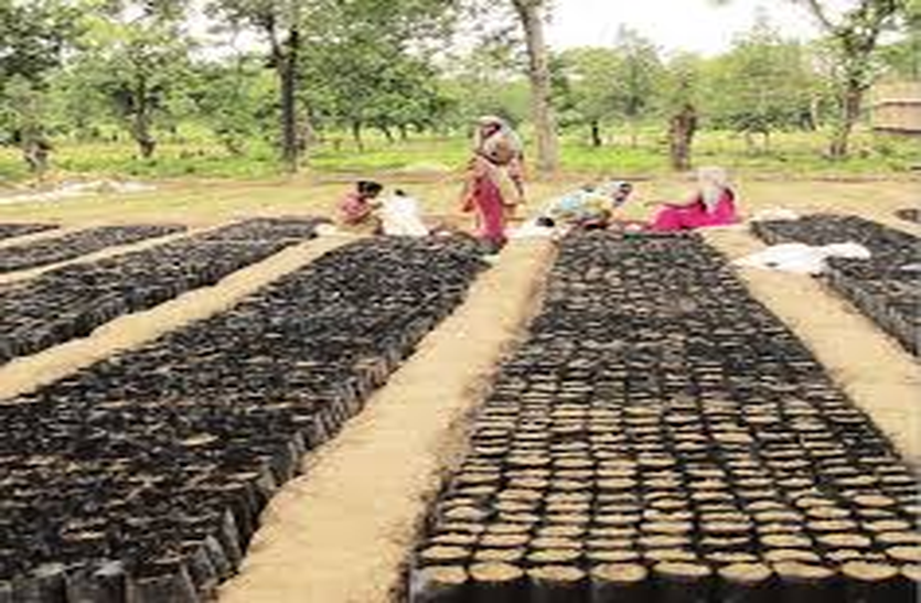 Five thousand farmers will do organic farming, the group of farmers wi