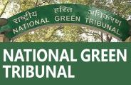 ngt