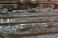 Video Gallery : देखिए भूपदेवपुर रेलवे ट्रैक पर कैसे उधम मचाते हैं ये बंदर