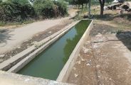 sirohi
