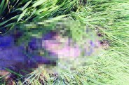 साइकिल और आईडी कार्ड भी बरामद किया गया