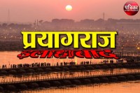 See Siberian Bird on sangam Allahabad