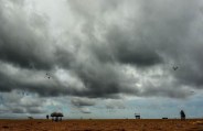 monsoon