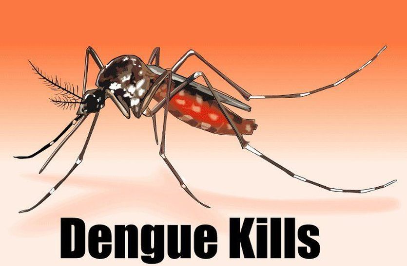 dengue goes uncotrolled in shahpura-bhilwara