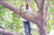 meerut