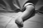 Innocent body