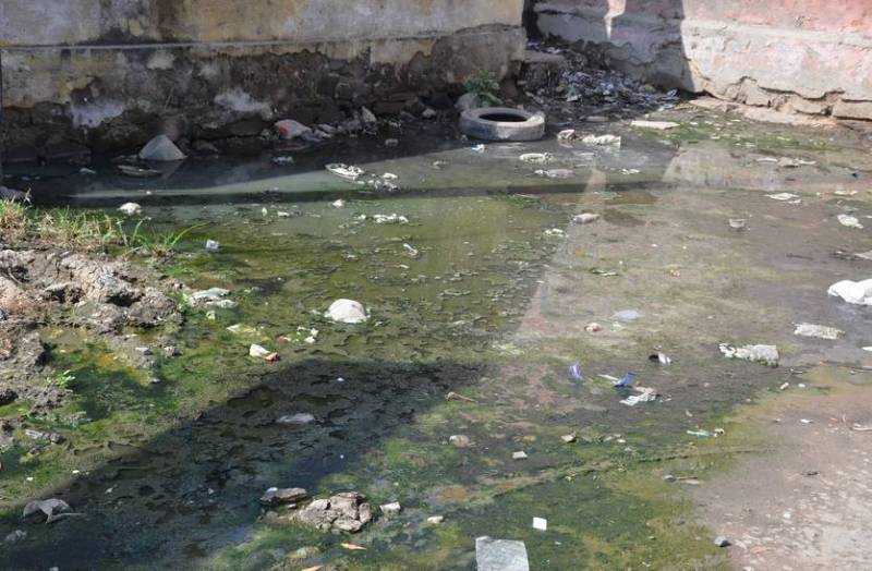 dengue goes oncontroled in bhilwara