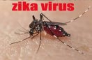 Zika Virus