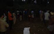 Mainpat forest