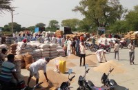 Agricultural produce man
