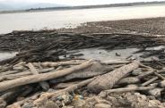 Brahmaputra blockage