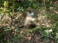 Villager dead body