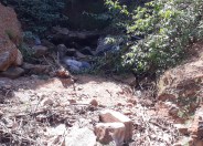 Dead body in ditch