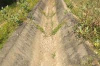 कृषक कल्याण समिति ने आवाज उठाई