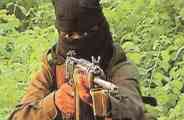 naxal 
