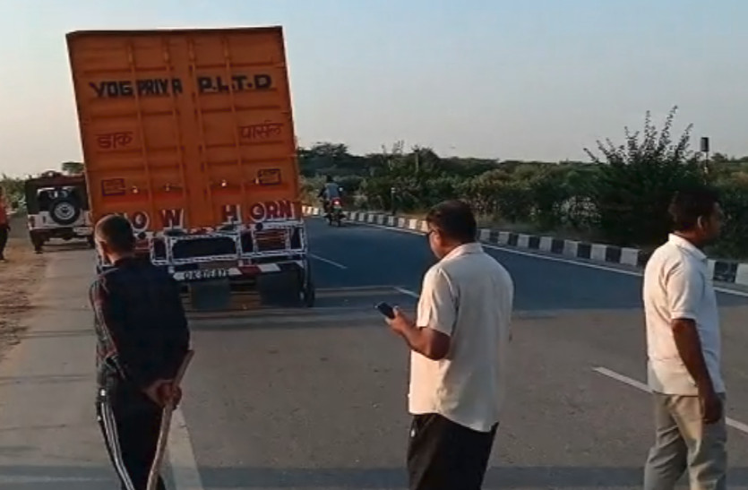 47 cattle recovered from container
