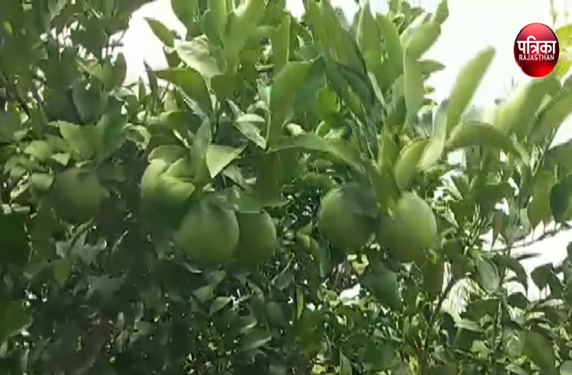 पांच हजार कमाते थे, अब जैविक खेती से कमा रहे चालीस हजार