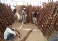 lathi sold in pandey baba mela