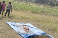 बच्चों ने किया चिडिय़ा का शिकार, चिडिय़ा गिरी तालाब में, फिर तालाब में जो दिखा उसे देखकर खड़े हो गए रोंगटे