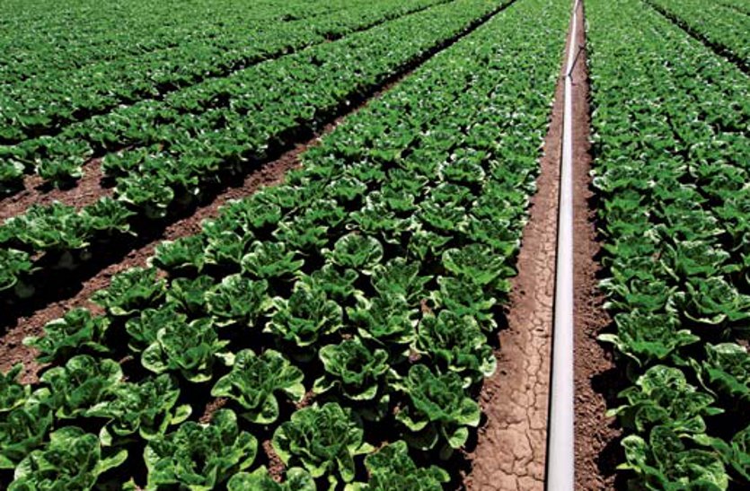 The country's economy depends on farmers