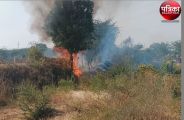  Four kms of fire spread in the fields