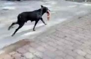 omg