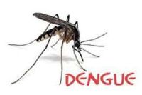 Dengue outbreaks in Bikaner
