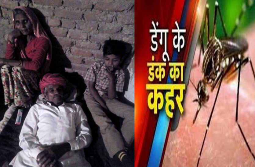 dengue in rajasthan