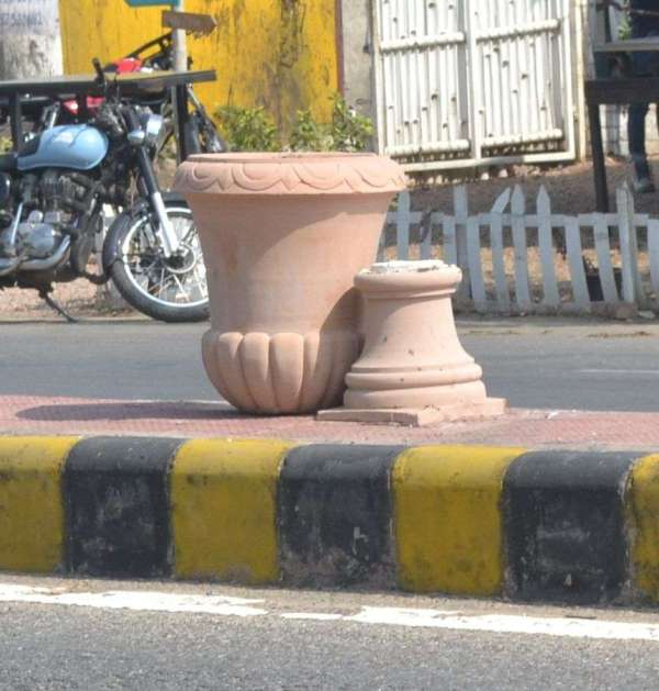 Instead of flowering plants only dry grass in flower pot