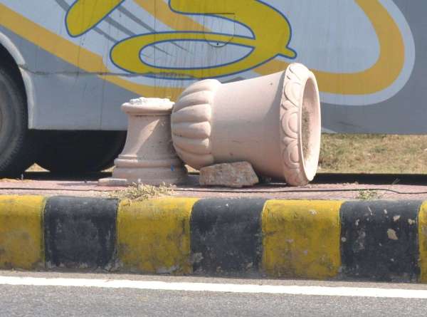 Instead of flowering plants only dry grass in flower pot