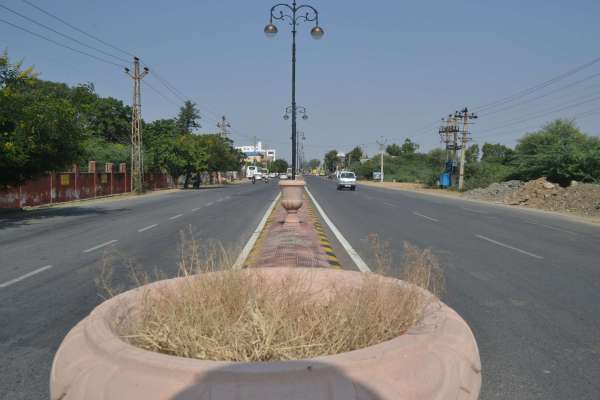 Instead of flowering plants only dry grass in flower pot