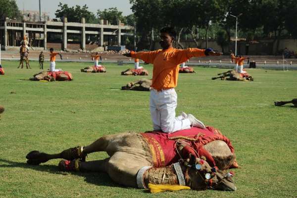 marwar festival in jodhpur