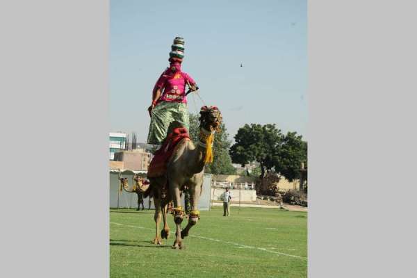 marwar festival in jodhpur