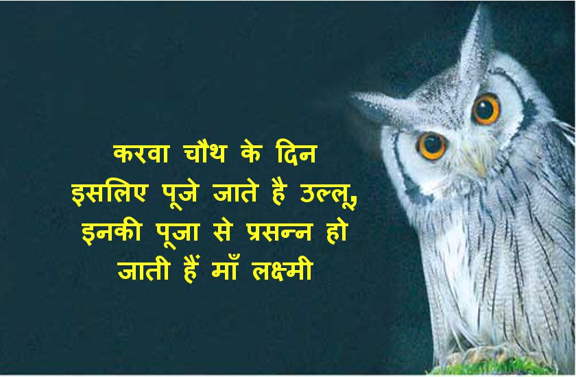 karva chauth
