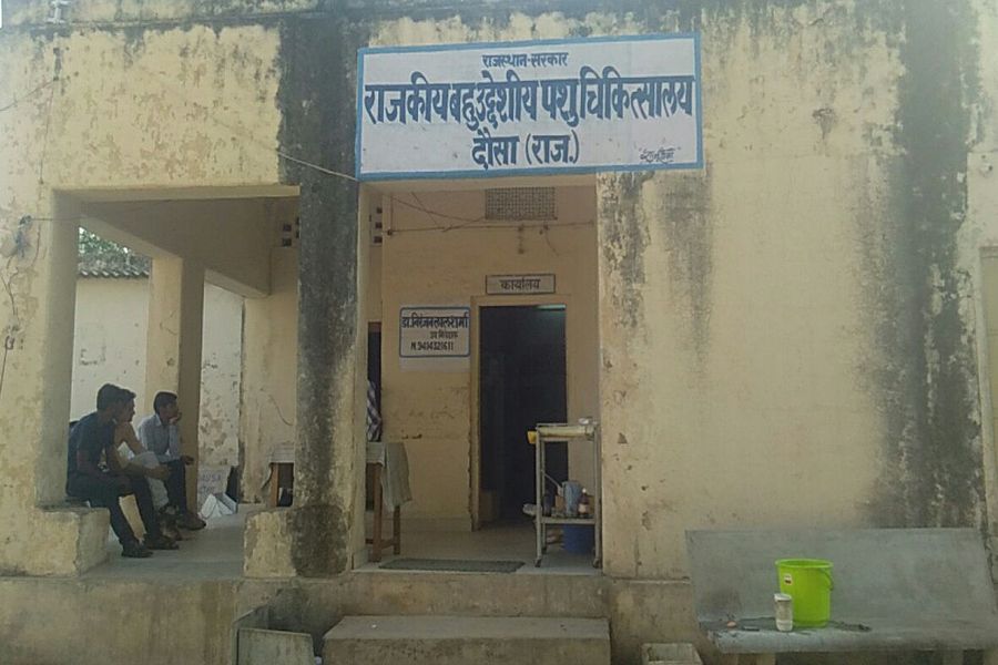 animal hospital dausa