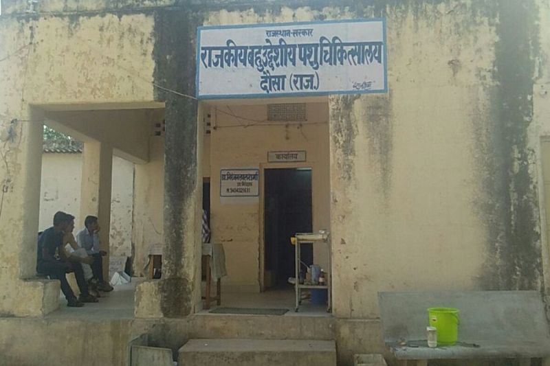 animal hospital dausa