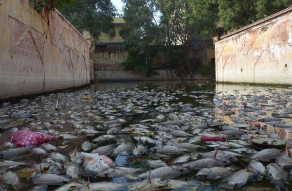 Bawadi in jaipur