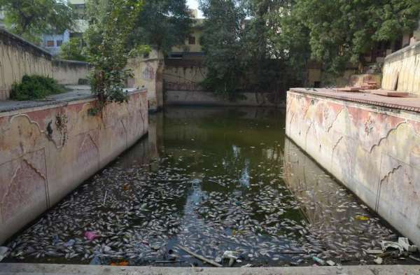 Bawadi in jaipur