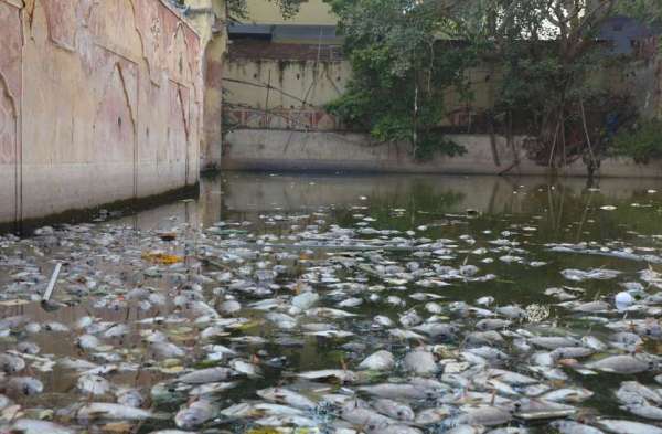 Bawadi in jaipur