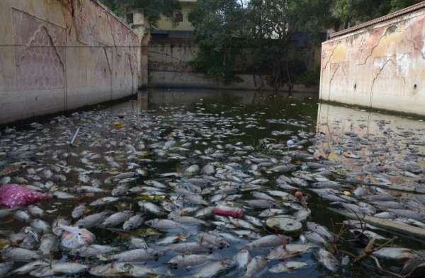 Bawadi in jaipur