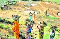 खेती-किसानी का काम बंद, बावजूद मनरेगा को नहीं मिल रहे मजदूर, इतने हजार मजदूर हुए कम