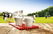 milk protien