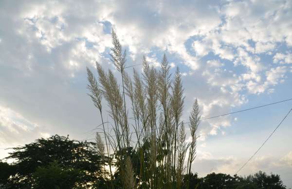 beautiful pics of nature