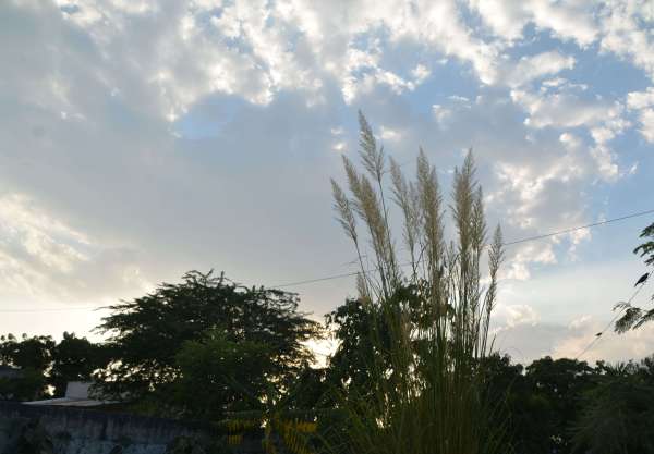 beautiful pics of nature