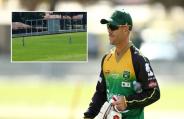 david warner 
