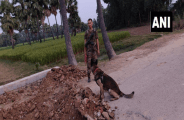 security force 