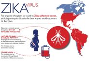 zika virus