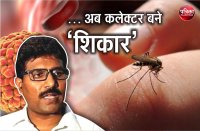 jodhpur collector swine flu positive