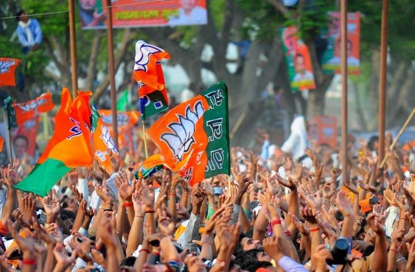 mp election